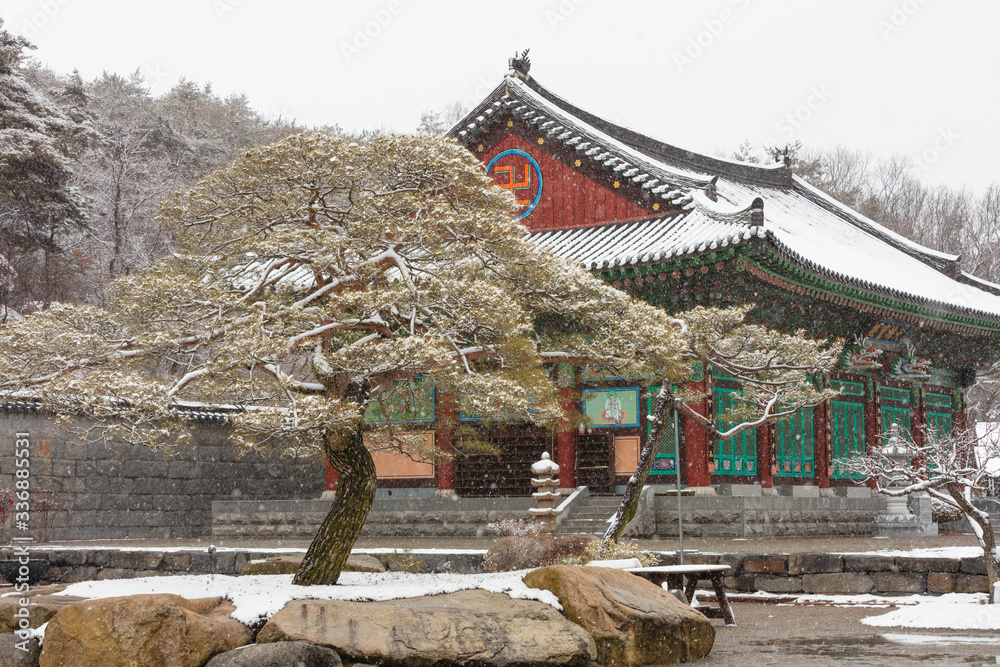 Obraz premium 전통