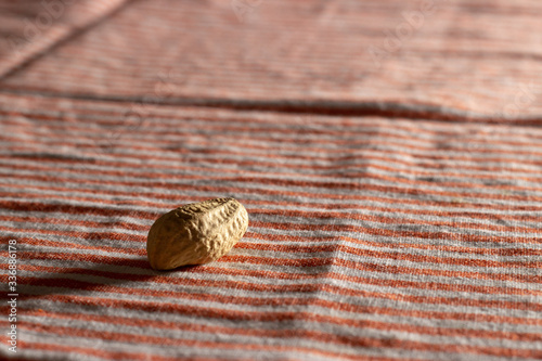 peanuts on a tea towel under rays of the sun © constantin