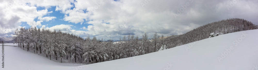 Fototapeta premium 겨울