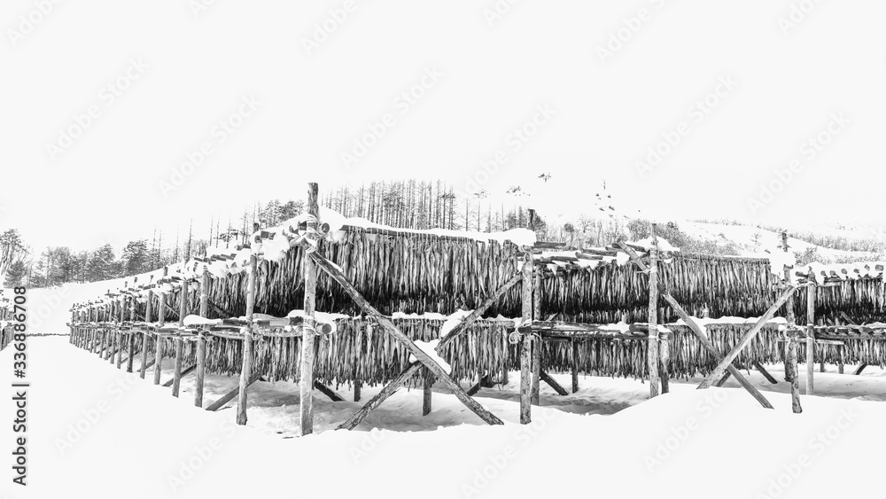 Fototapeta premium 황태덕장