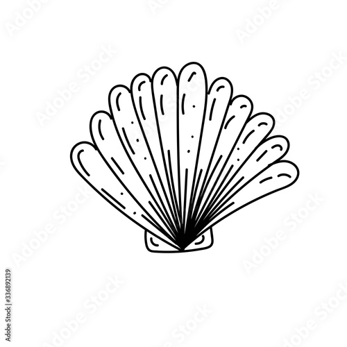 vector element  black and white drawing of a marine inhabitant  shell