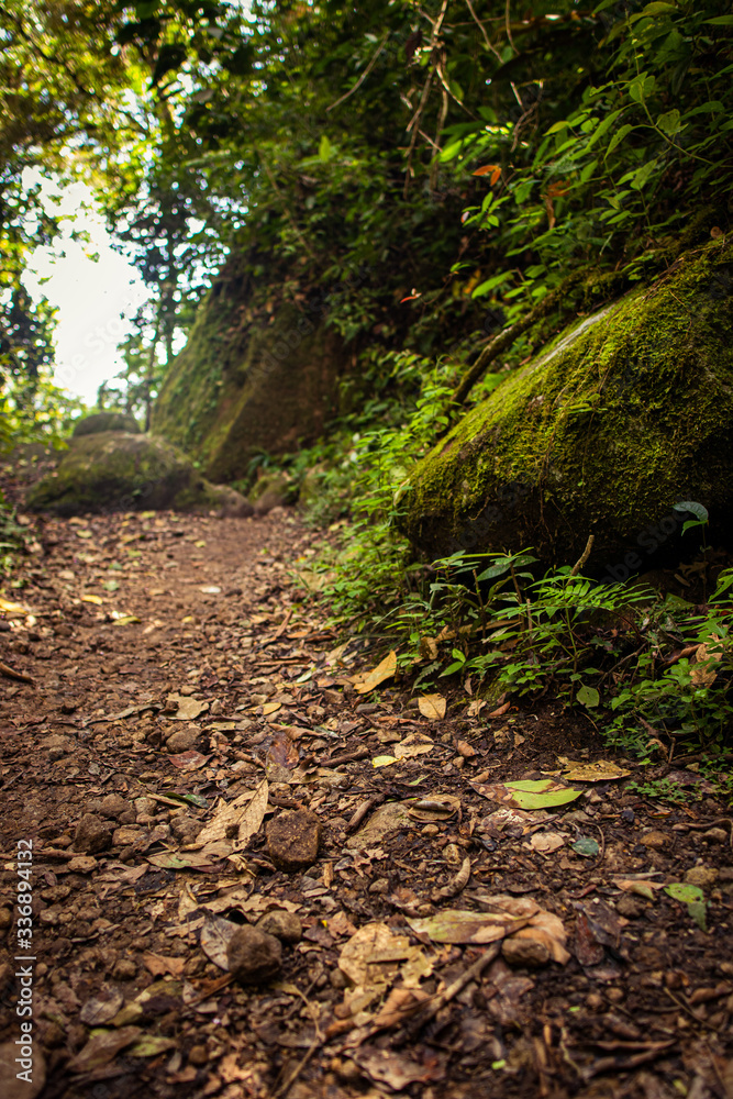 A dirty muddy trail on the side of a volcanic mountain in the humid jungles of Panama. A dirty muddy trail on the side of a volcanic mountain in the humid jungles of Panama.
