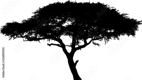 Tree Silhouette