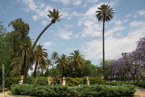 Gardens - Jardines de Pedro Luis Alonso, Málaga, Spain © Simona Procklová