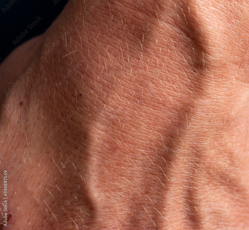 veins on a male hand as a background veins on a male hand as a background