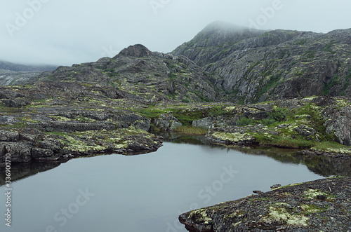 Moody grey arctic landscape with slope of granite smooth rocks with lush green moss around quiet lake in haze in overcast weather, north landscape.