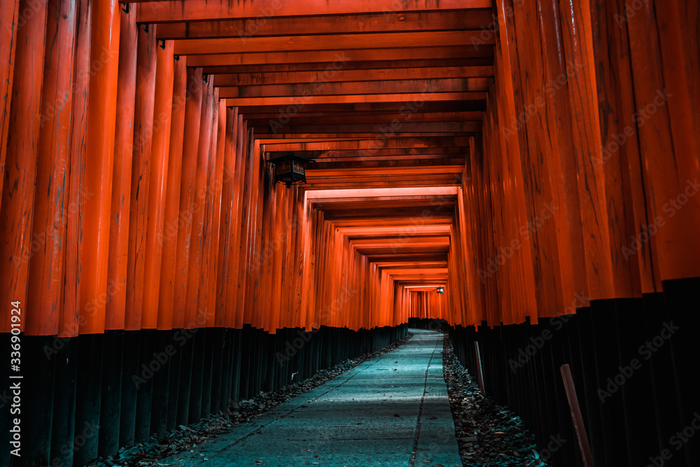Fototapeta premium 京都 伏見稲荷大社 鳥居