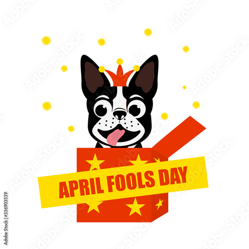 April fools day. Funny dog jumps from the box. French bulldog in Jack hat.Vector illustration.