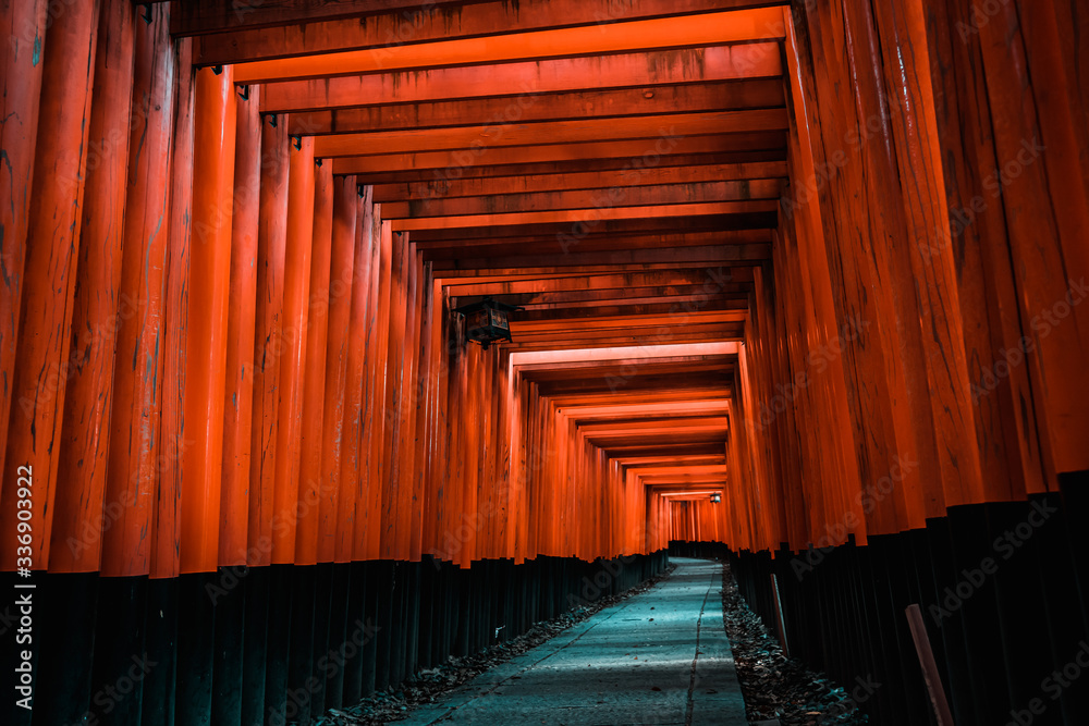 Fototapeta premium 京都 伏見稲荷大社 鳥居