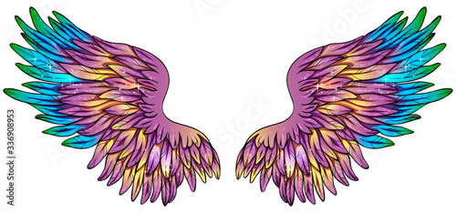 Beautiful magic glowing shiny violet green blue yellow vector wings 0420