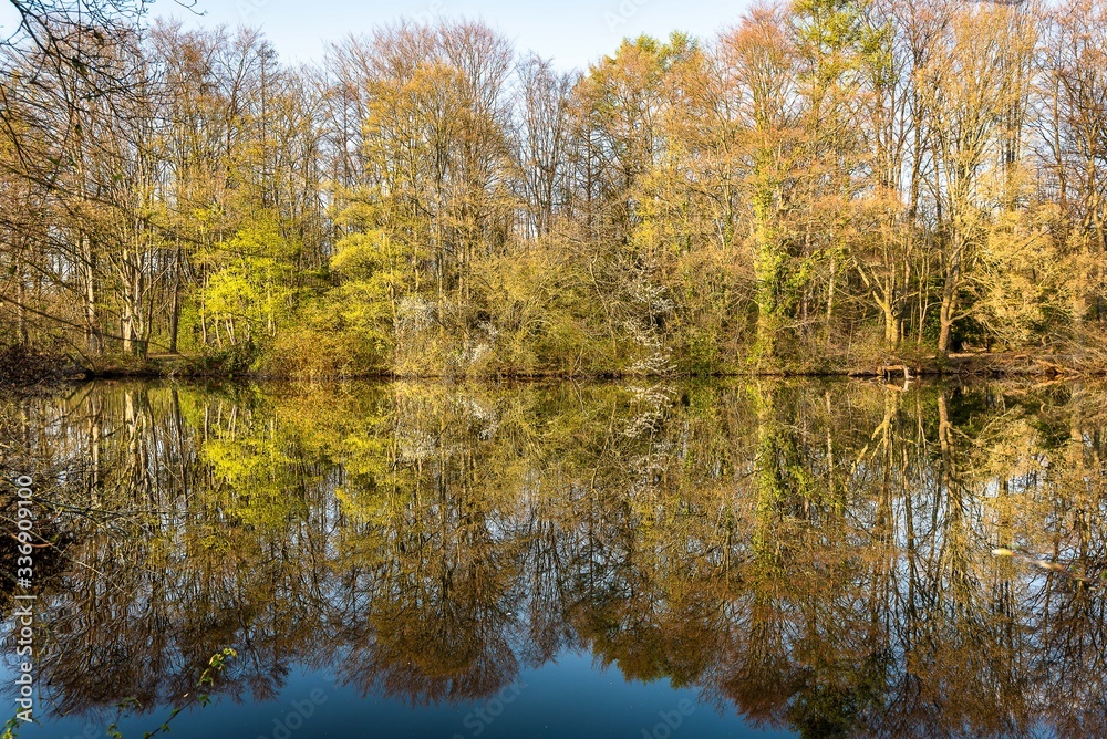 wunderschöne Spiegelung von Bäumen in einem See im Frühling wunderschöne Spiegelung von Bäumen in einem See im Frühling