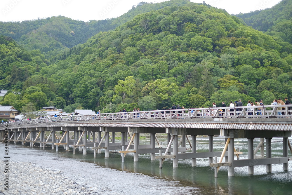 京都　嵐山渡月橋の青もみじ