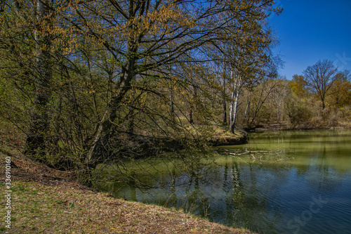 the lake in the wild nature