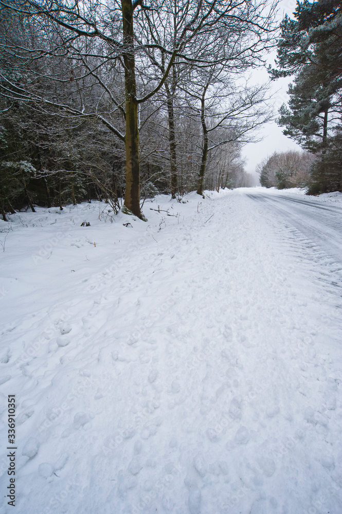 Remote snowy road through trees on country lane Remote snowy road through trees on country lane