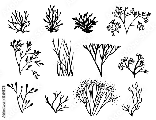 Set of black colored seaweeds silhouette underwater ocean plants sea coral elements flat vector illustration on white background