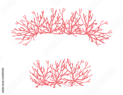 Pink colored seaweeds underwater ocean plants sea coral elements flat vector illustration on white background