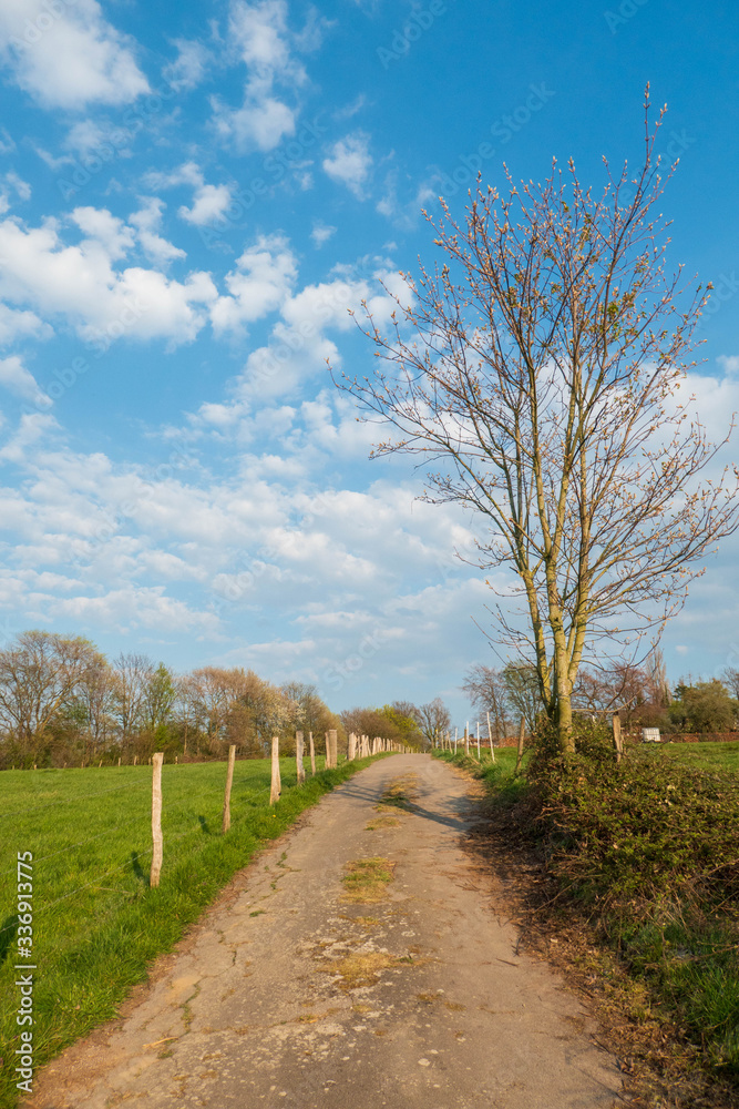 Spaziergang im Frühling zur Osterzeit Spaziergang im Frühling zur Osterzeit