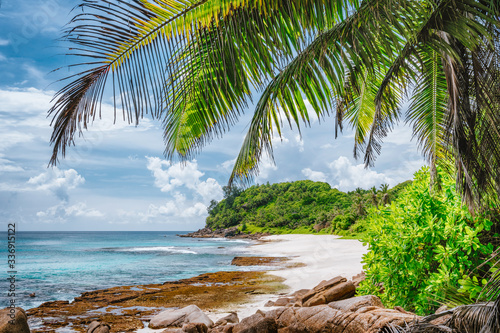 Fototapeta Naklejka Na Ścianę i Meble -  Palm tree leaves on tropical beach Police Bay on Mahe Island, Seychelles