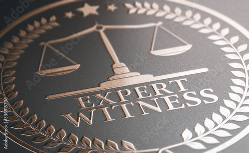 Legal Expertise. Expert Witness Service photo