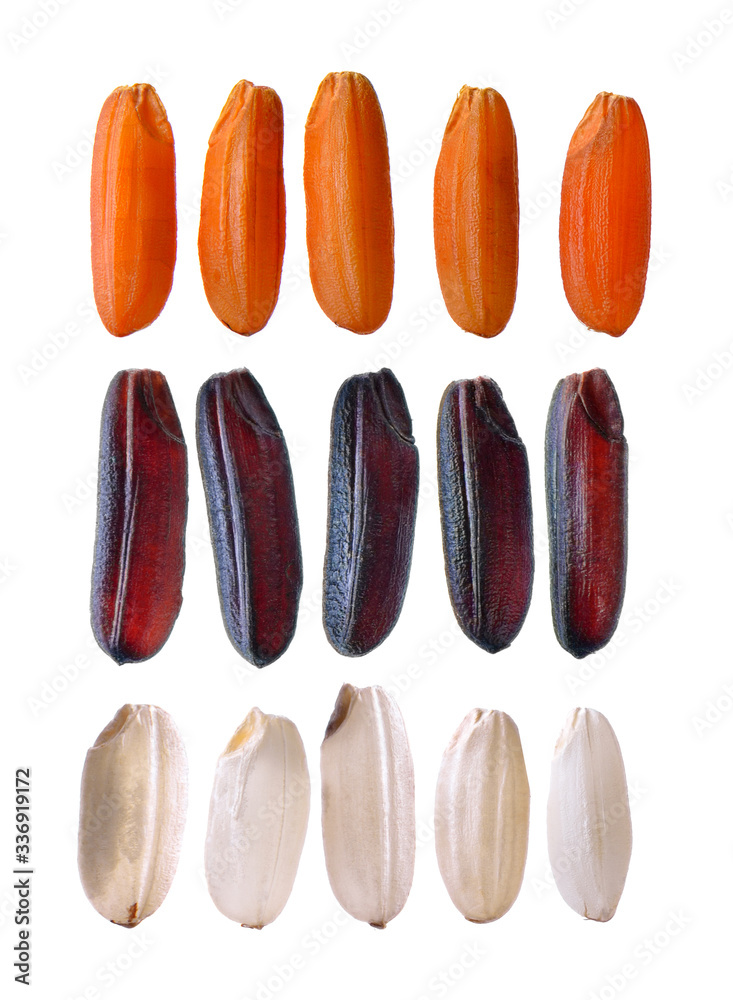 Fototapeta premium rice on white background
