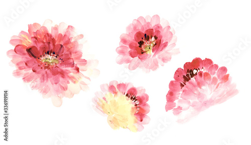 Flowers watercolor illustration.Manual composition.Big Set watercolor elements.