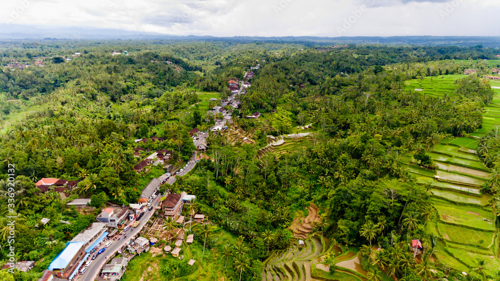 Obraz premium Aerial view of Tegalalang Rice Terrace in Ubud, Bali, Indonesia.