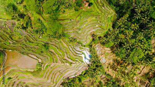 Top view of Rice Terrace.