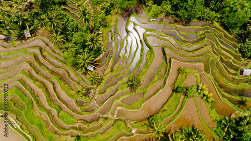 Top view of Rice Terrace.