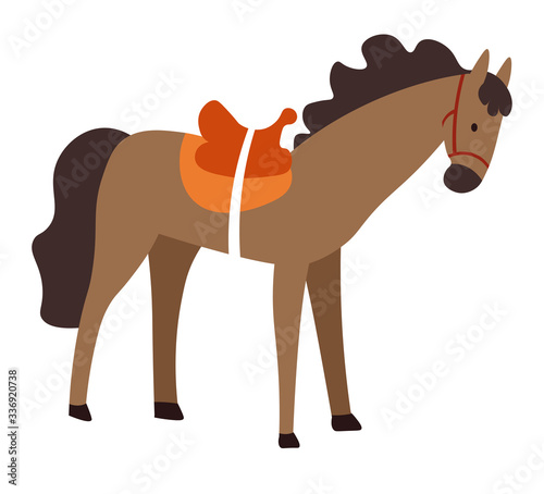 Horse with saddle, domestic animal, stallion or mare