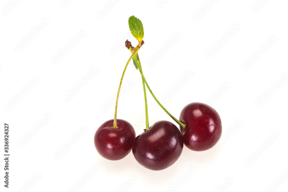 Sweet ripe cherry with leaves Sweet ripe cherry with leaves
