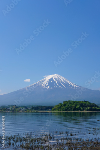 河口湖と富士山