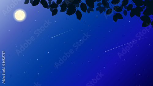 Fototapeta Naklejka Na Ścianę i Meble -  綺麗な夜空の風景イラスト