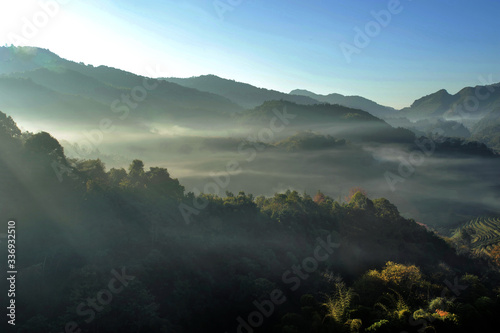 Landscape mist mountaina doi angkhang  in Chiangmai Thailand
