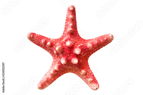 Sea star symbol of summer holiday on the beach on a white background. Macro object isolated. Top view.