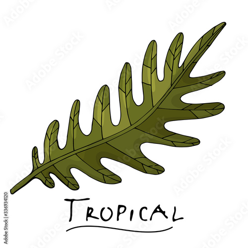 A tropical or forest pinnate leaf with many shades of green, ovoid type with cuts. Sketch inscription topical. Isolated on a white background.