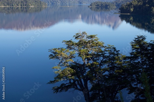 Reflection of mountains and a foreground tree