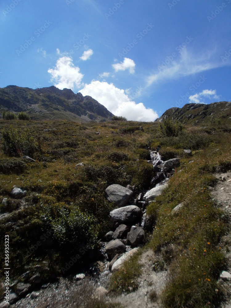 View of a small spring flowing in the French Alps. It is water from snowmelt. View of a small spring flowing in the French Alps. It is water from snowmelt.