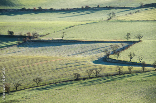 Paisaje de los campos de cultivo de la Segarra durante la primavera (Lerida, Cataluña, España).