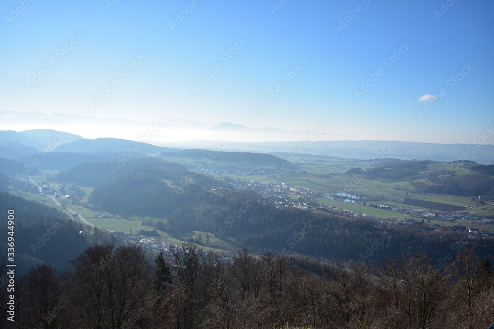 Landscape of mountains in the Alps with trees from Uetliberg Switzerland