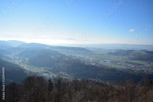 Landscape of mountains in the Alps with trees from Uetliberg Switzerland © Andrew