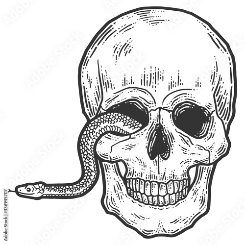 A snake crawls out of the eye of a human skull.