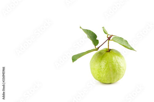 fresh guava and green guava leaf on white background fruit agriculture food isolated 