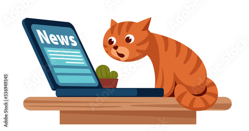 A surprised and scared cat looks at newsletter in a laptop monitorе