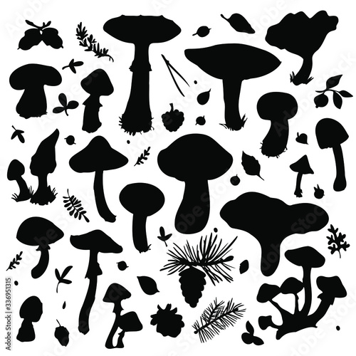 Forest mushrooms, berries and leaves silhouette collection set. Hand drawn sketch. Black and white vector objects on white background.