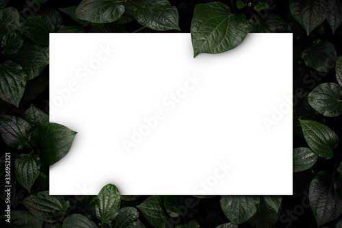 White paper card on flat lay green leaves texture top view background. Creative layout in nature concept.