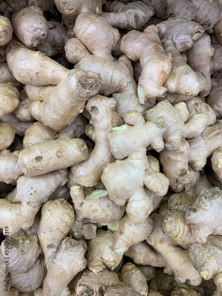 fresh ginger roots fresh ginger roots