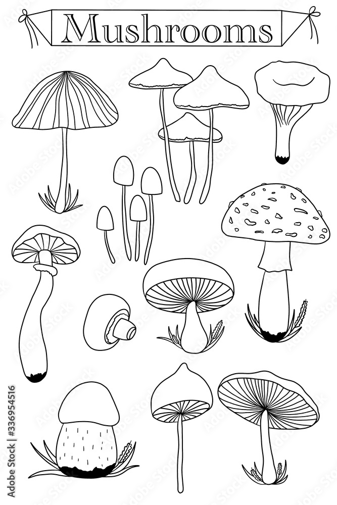 Set of mushrooms. Coloring page 