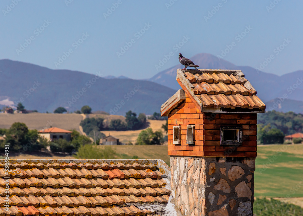 A pigeon perched on a chimney in Corinaldo, Le Marche, Italy, with the mountains in the background on a warm Summer morning