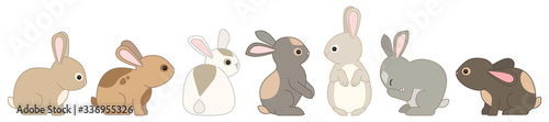 Bunny Rabbits Cartoon Illustrations