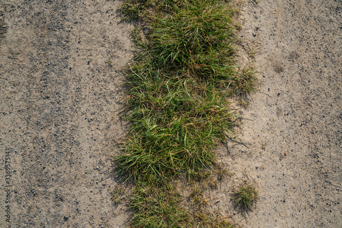 Texture of dry sandy road with patch of grass in the middle